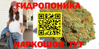 ALPHA PVP Краснознаменск